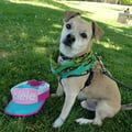 jfudge @jfudge profile image