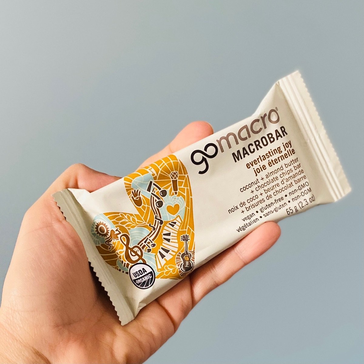 GoMacro Everlasting Joy Coconut + almond butter + chocolate chip bar