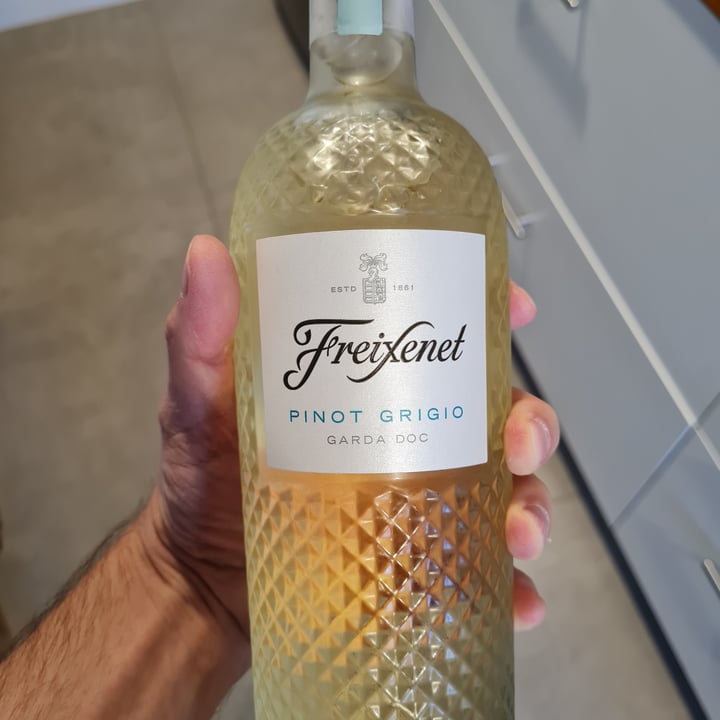 photo of Freixenet Pinot Grigio shared by @zeflavio on  24 Jul 2021 - review