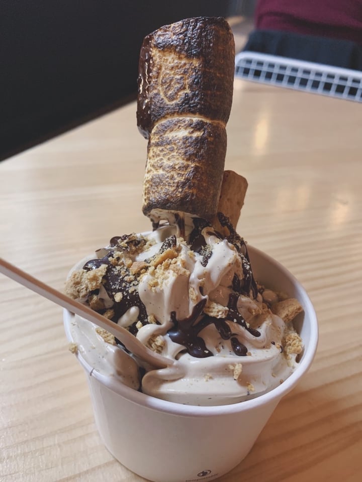 photo of Cold Truth S’mores Sundae shared by @candytails on  14 Apr 2020 - review