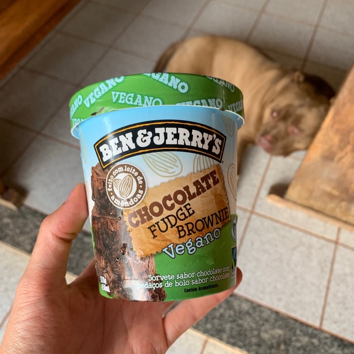 photo of Ben & Jerry's Chocolate Fudge Brownie Non-Dairy Ice Cream shared by @priscilacs on  15 Sep 2021 - review