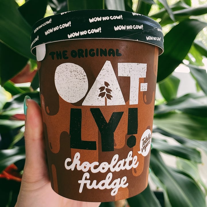 photo of Oatly Chocolate Fudge shared by @sazzie on  22 Nov 2020 - review