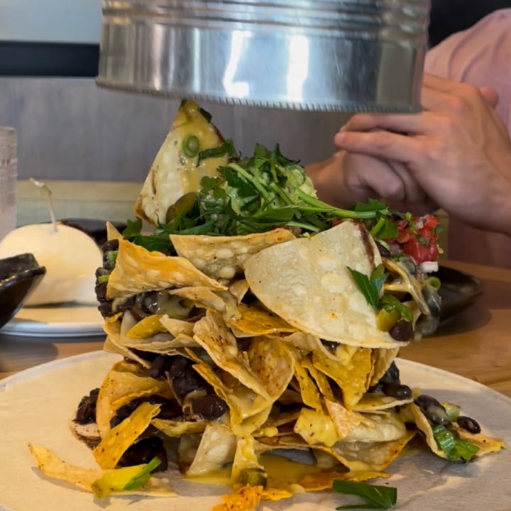 photo of PLANTA West Palm Beach Fully Loaded Nachos shared by @sangria on  19 Apr 2022 - review