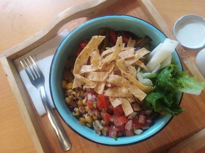 photo of Dalia Plant Power . Mex Taco Bowl shared by @angelmt0927 on  06 Feb 2020 - review