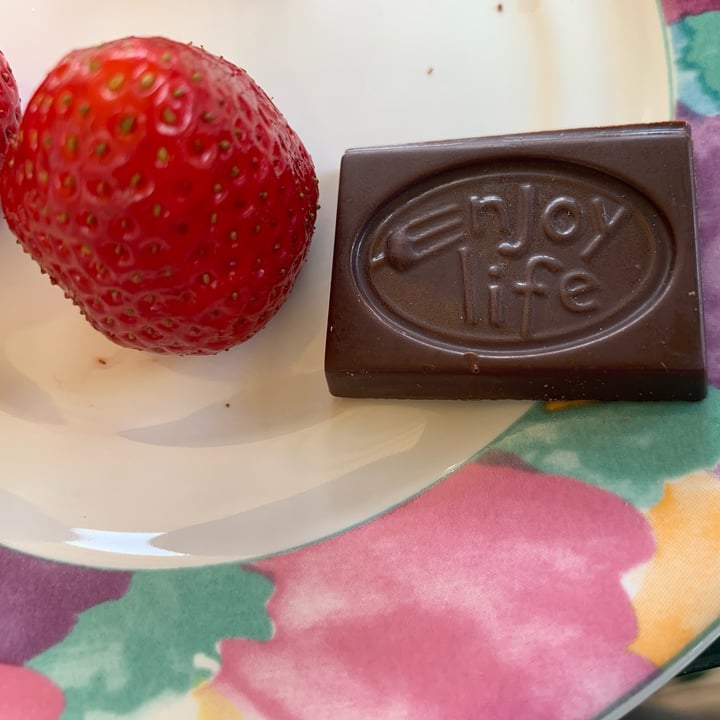 photo of Enjoy Life Chocolaty  Bars shared by @allhess on  24 Aug 2022 - review