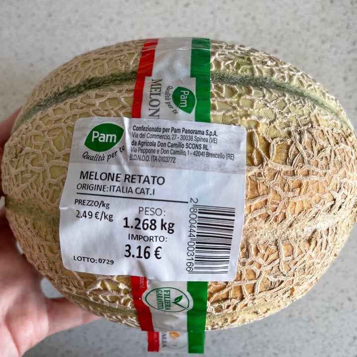 photo of Pam & PANORAMA Melone shared by @mariyady on  26 Jun 2022 - review