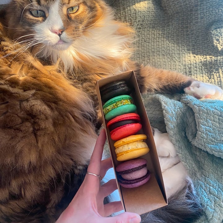 photo of Vegan Goods Market Macarons shared by @skyeduplessis on  12 Oct 2022 - review