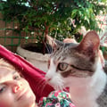 elianalia @elianalia profile image
