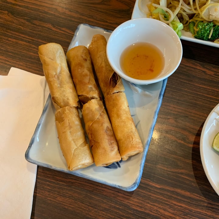 photo of Pho Haven Restaurant Veggie Spring Rolls shared by @ingridpar on  12 Nov 2021 - review