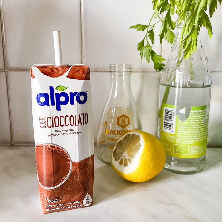 photo of Alpro Gusto Cioccolato shared by @misosoup on  10 Dec 2021 - review