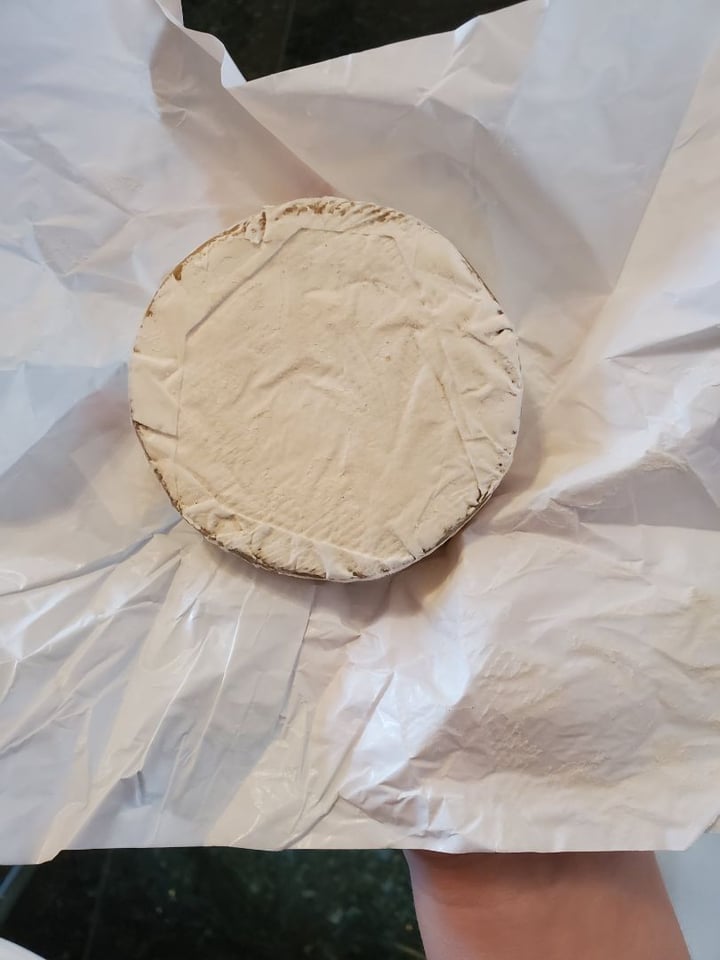 photo of Wildbrine Cultured Cashew Brie Alternative shared by @klarina on  11 Apr 2020 - review