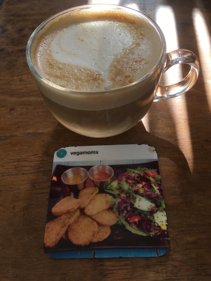 photo of Vegamo MX Cappucchino shared by @jesuscarrillo on  16 Apr 2020 - review
