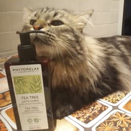 Phytorelax