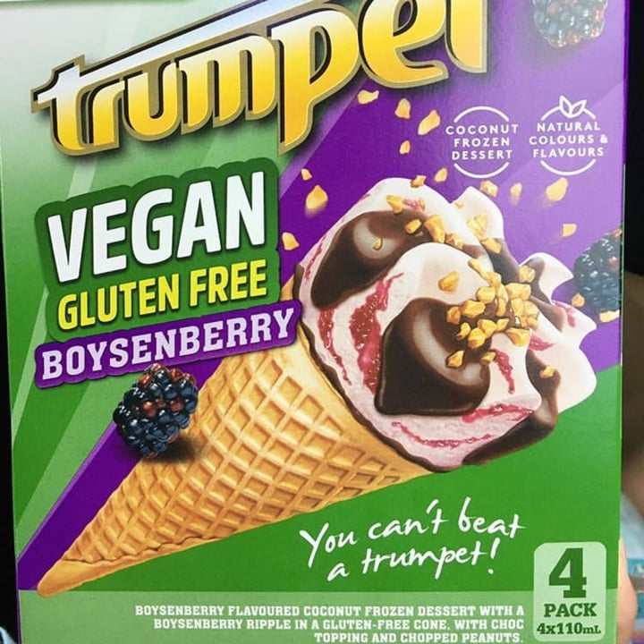 photo of Tip Top Ice Cream Vegan Trumpet shared by @carmenlim on  06 May 2020 - review