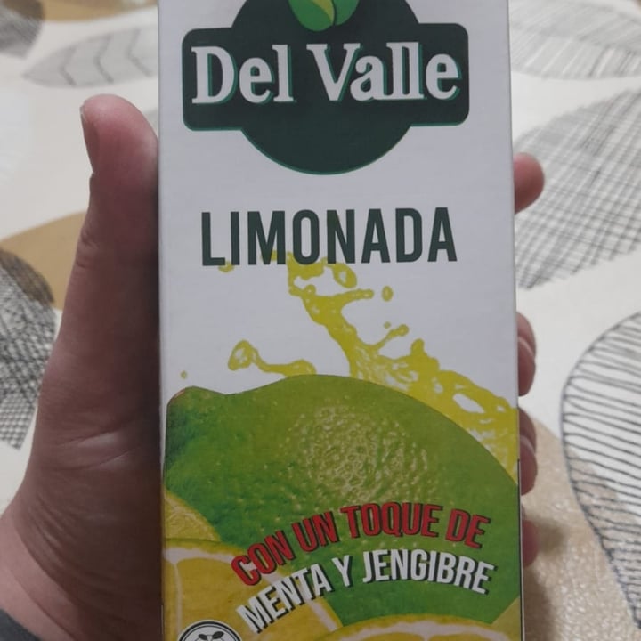 photo of Del Valle limonada con menta y jengibre shared by @caiqui on  07 Mar 2022 - review