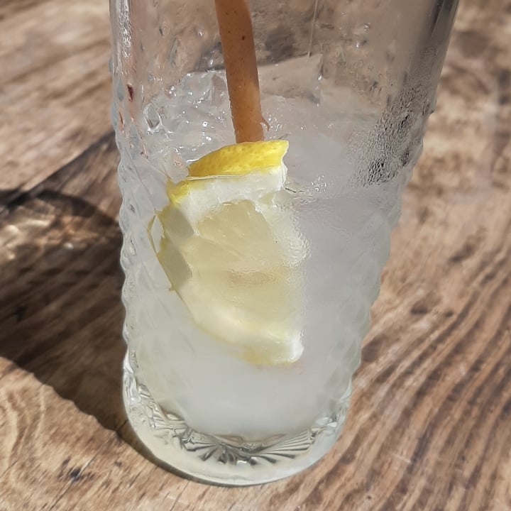 photo of Hudsons The Burger Joint (Claremont) Homemade lemonade shared by @rondeboschvegan on  21 Mar 2021 - review