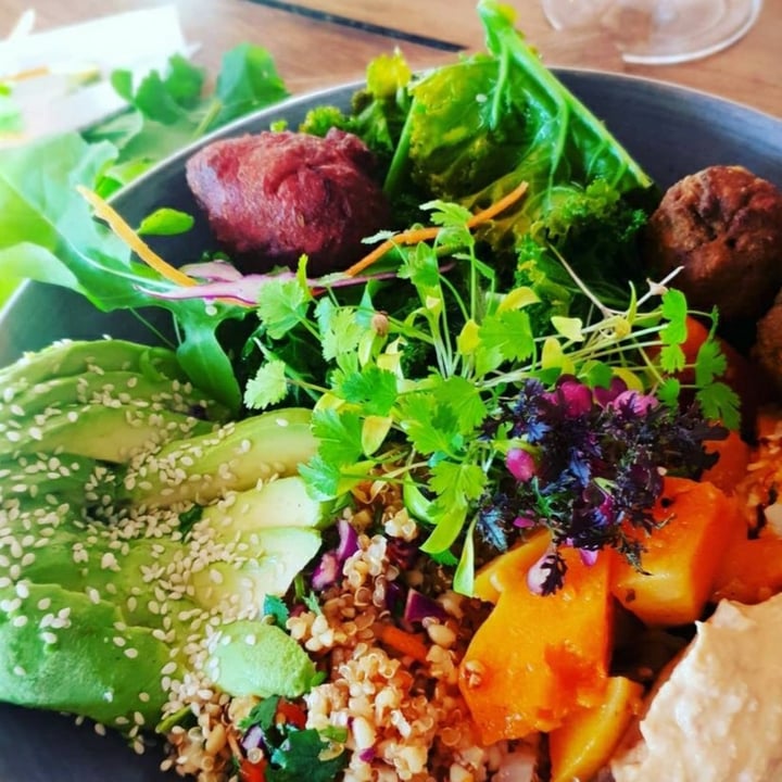 photo of Java Cafe/Bistro Stellenbosch Vegan Bowl shared by @nandi86 on  15 Oct 2020 - review