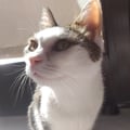 meli21 @meli21 profile image