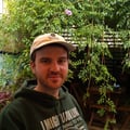 @vinipea profile image