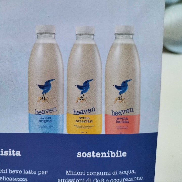 review photo of Heaven Avena original shared by @amoglianimali on 01 May 2022 - review
