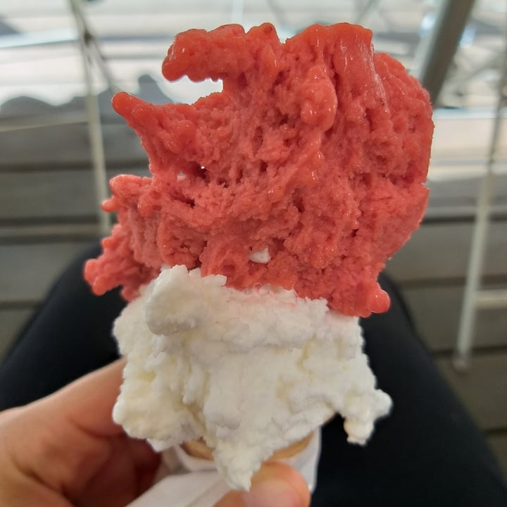 review photo of La Sorbetteria Castiglione Gelato Vegano shared by @carlakaralis on 16 Jun 2022 - review