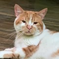 emilybnntt @emilybnntt profile image