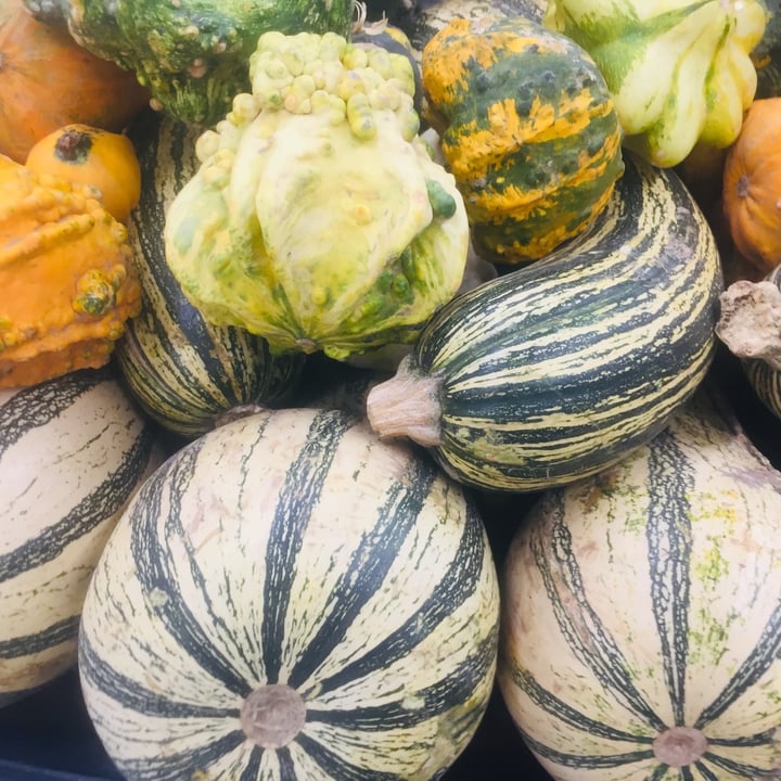 photo of COTO Calabaza shared by @querelnocetti on  20 May 2020 - review
