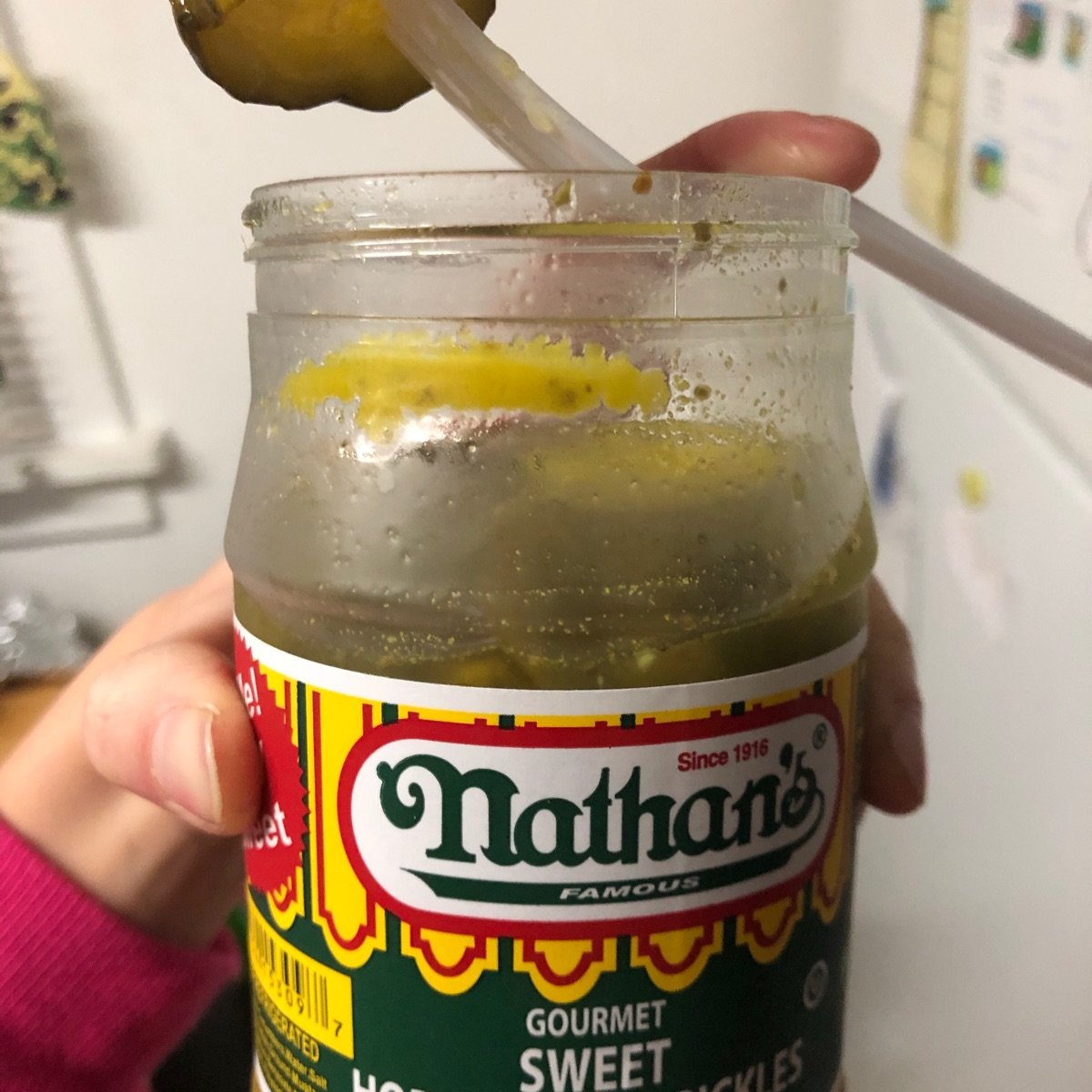 Nathan’s Famous Sweet Horseradish Pickles Reviews abillion