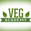 avatar of thevegacademy