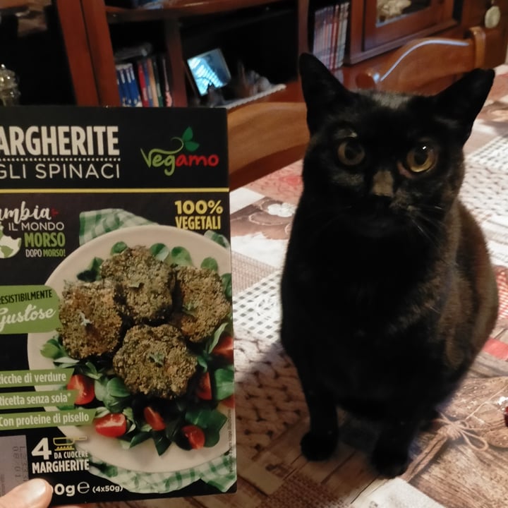photo of Vegamo Margherite agli Spinaci shared by @michelalessandra on  19 Dec 2022 - review