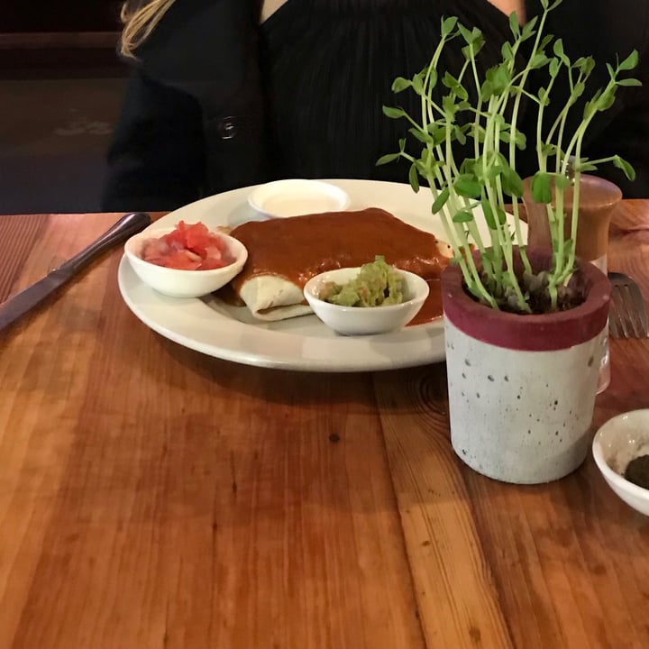 photo of Plant Enchilada shared by @reecebez on  02 Sep 2021 - review