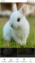 aderyn @aderyn profile image