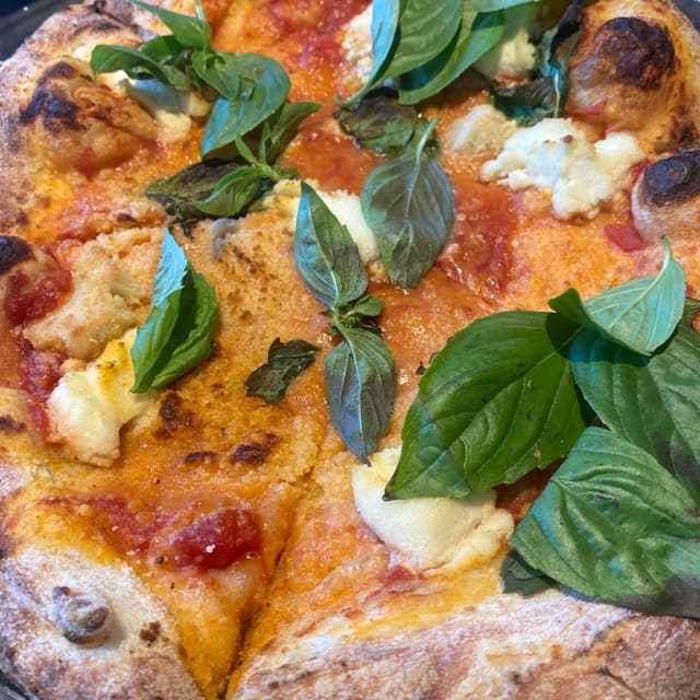 Photo of the dish “Margherita Pizza”