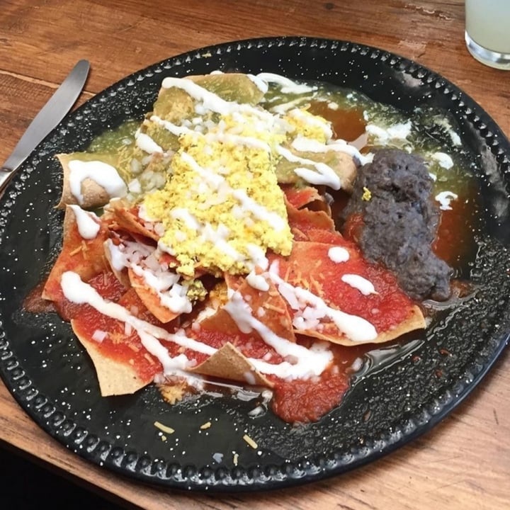 photo of ELK Vegan Bistro Chilaquiles shared by @saidfaccio16 on  14 Oct 2020 - review
