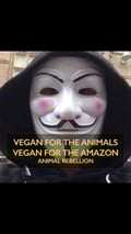 tinathetinyvegan @tinathetinyvegan profile image