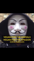 @tinathetinyvegan profile image