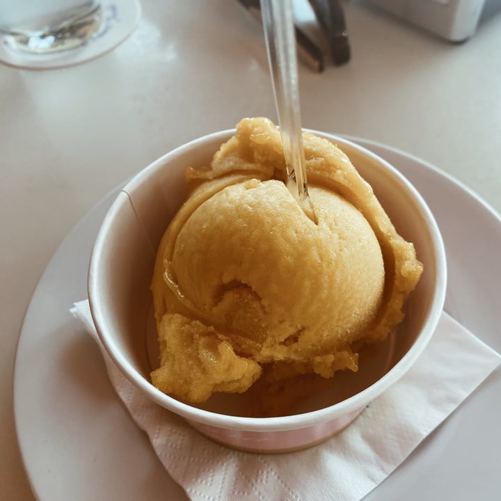 review photo of Bar Gelateria Es Port Sorbete De Mango shared by @theveganavocadito on 02 Oct 2022 - review