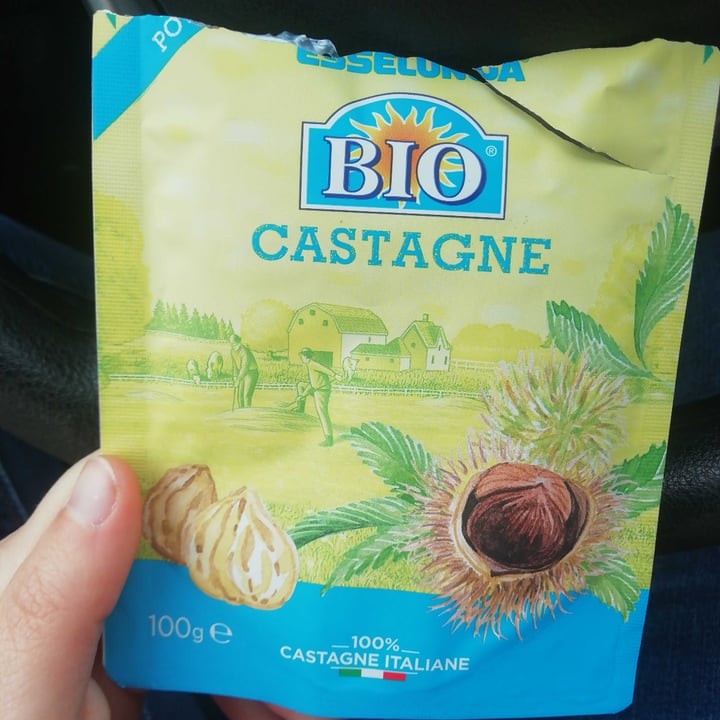 photo of Esselunga Bio Castagne shared by @yue6 on  10 Dec 2022 - review
