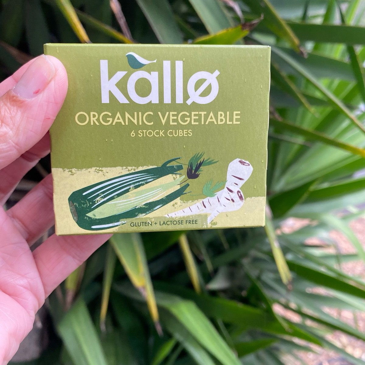 Kallo Organic vegetable bouillon Reviews abillion