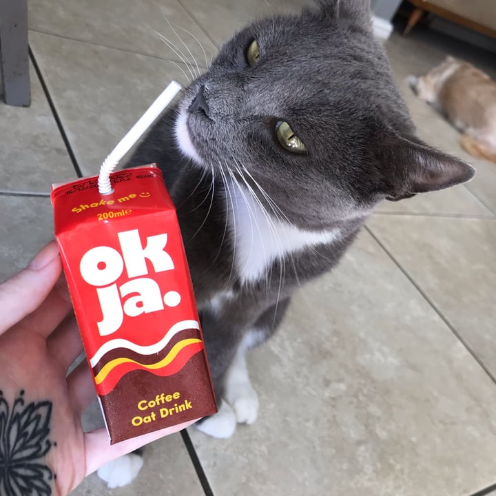 photo of okja Coffee Oat Milk shared by @skybadger on  18 Mar 2022 - review