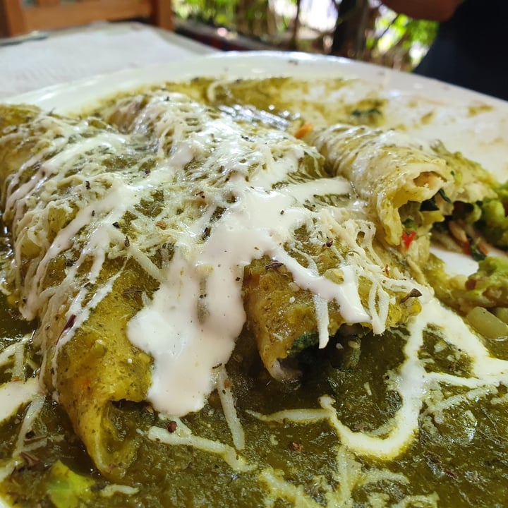 photo of LOYOLA Alquimia Vegana Enchiladas Veganas shared by @mireyusthebear on  15 Aug 2021 - review