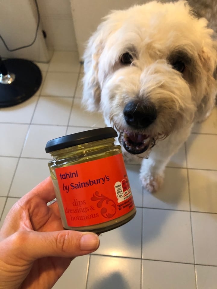 review photo of Sainsbury's Tahini shared by @brigittestaps on 15 Dec 2019 - review