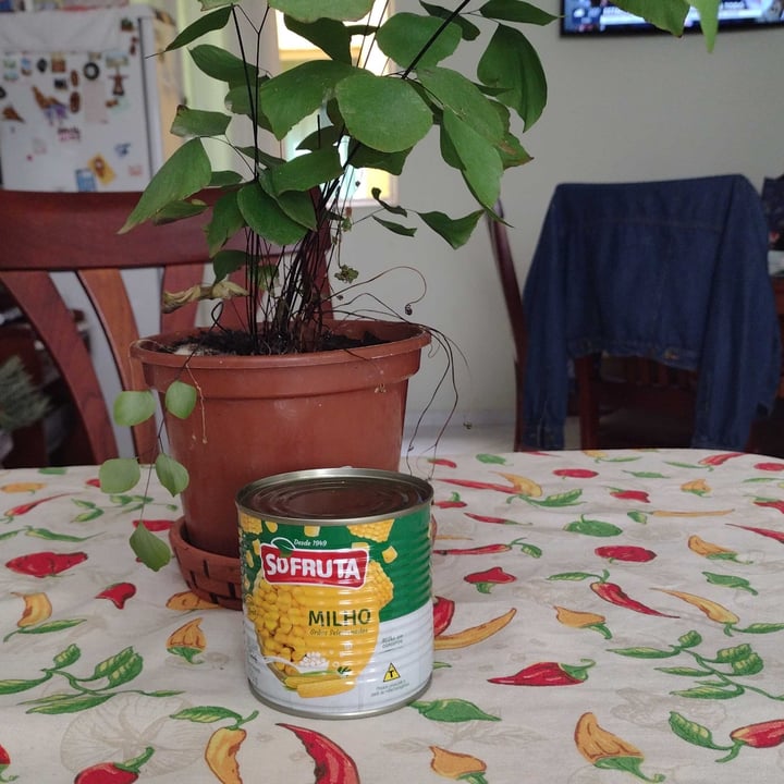 review photo of Só fruta alimentos ltda Milho shared by @sloddi on 09 May 2022 - review