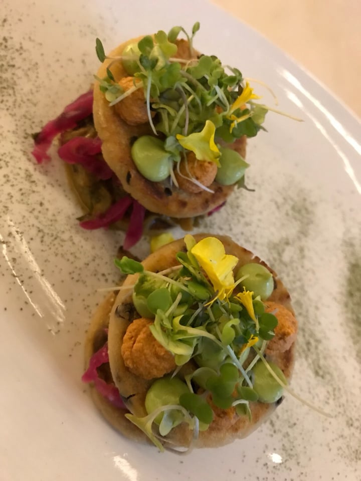 photo of Plant Miami Arepas shared by @jtstep on  11 Aug 2018 - review