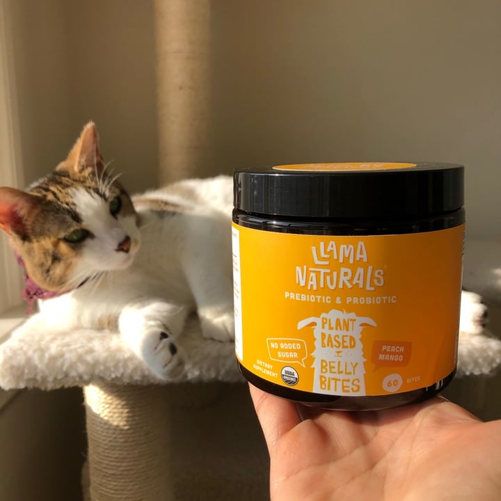 photo of Llama Naturals Prebiotic and probiotic belly bites shared by @brazilianvegan on  01 Oct 2021 - review
