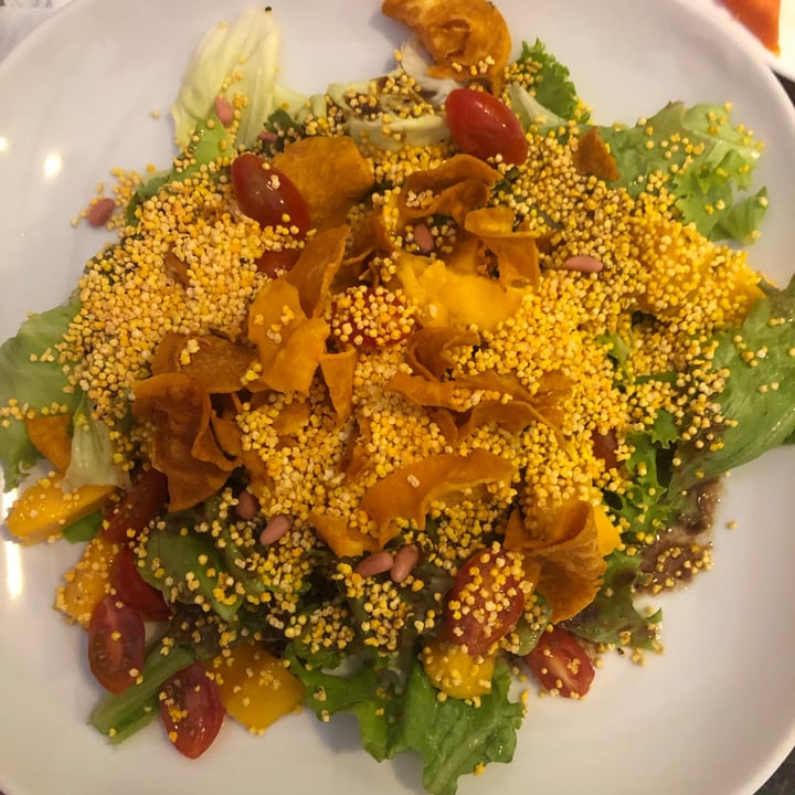 review photo of Tamayo Ensalada quetzal shared by @ginah2379 on 23 Jun 2021 - review
