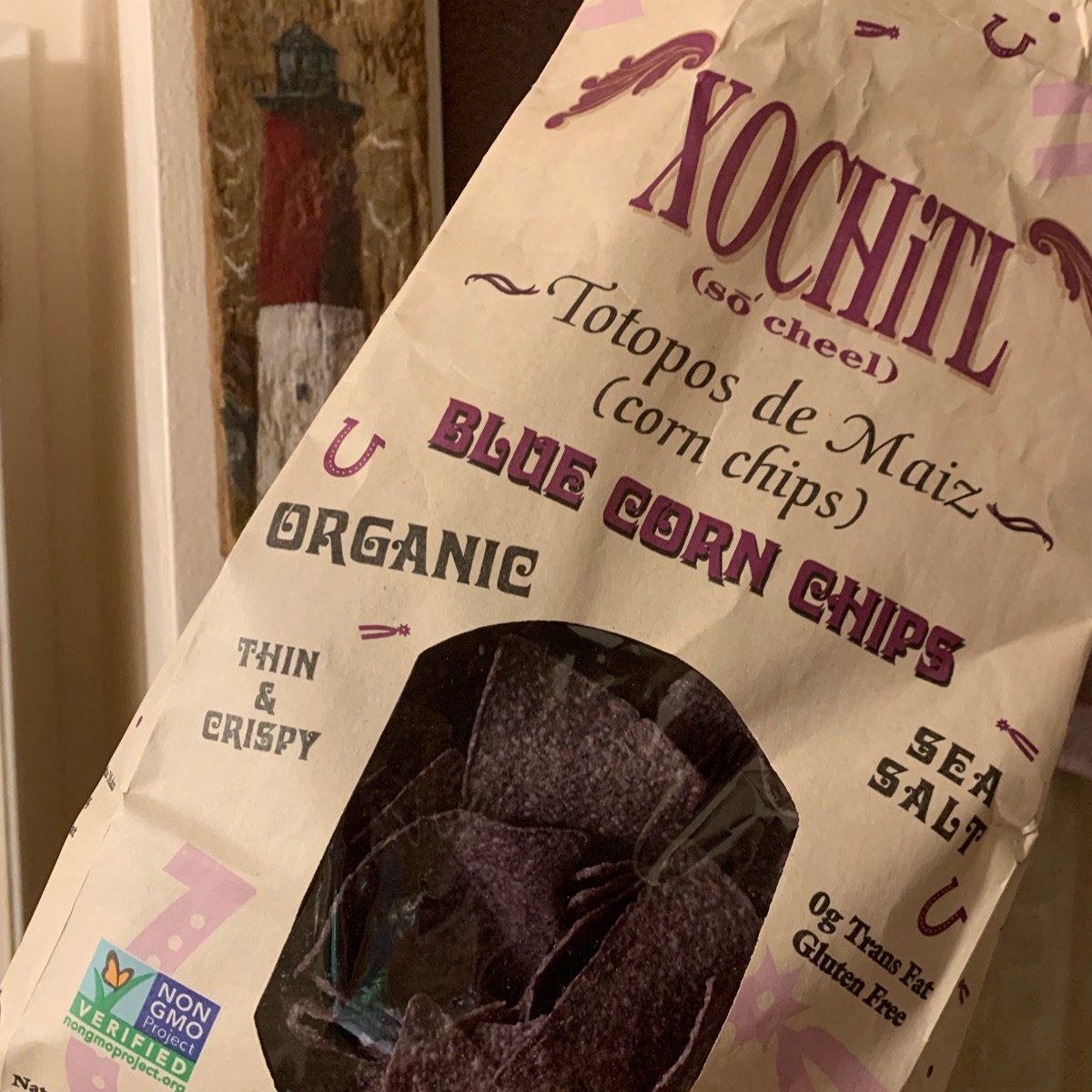 Xochitl Blue Corn Chips Reviews abillion