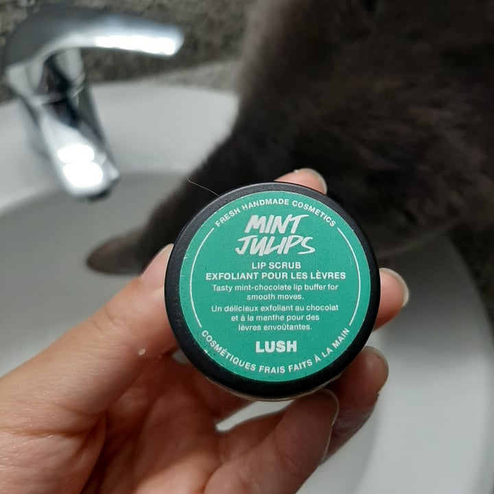 review photo of LUSH Fresh Handmade Cosmetics Mint Julips lip scrub shared by @liszy on 13 Jan 2021 - review