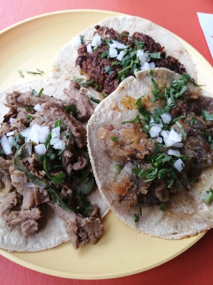 photo of Don Andrés Vegan Food & Coffee Tacos shared by @ishellmiranda on  23 Jan 2020 - review