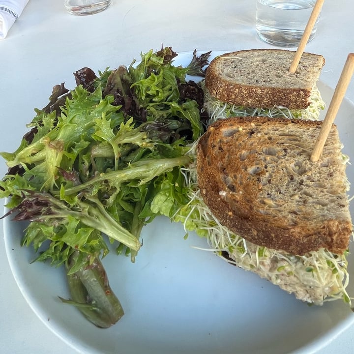 photo of Christopher's Kitchen Tuna Salad Sandwich shared by @tipsyballoons on  14 Nov 2022 - review